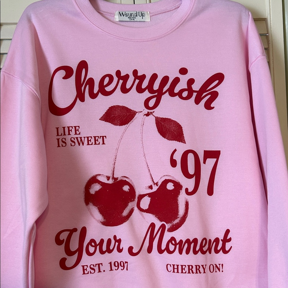 Women’s Pink Sweatshirt NWOT